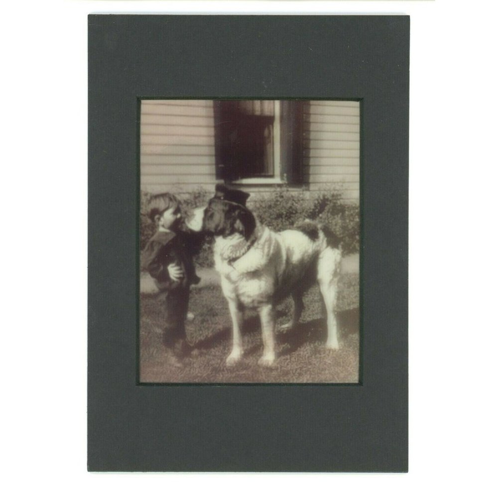 You Look Like a Soldier Major 3-d Photo Reprint Stereographic Arts 5x7 Dog Child